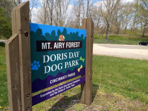 Dog Park at Mt. Airy Forest photo 1